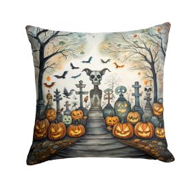 Pet Cemetery Spooky Halloween Throw Pillow Machine Washable, Indoor Outdoor Decorative Pillow for Couch, Bed or Patio, 14Hx14W (Default: Default)